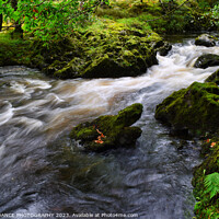Buy canvas prints of The Streams at Lodore Falls, Lake District by EMMA DANCE PHOTOGRAPHY