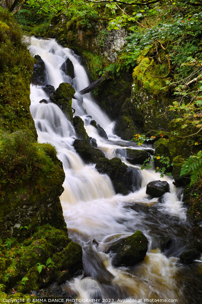 Lodore Falls, Lake District Picture Board by EMMA DANCE PHOTOGRAPHY