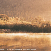 Buy canvas prints of Morning mist on Derwentwater by EMMA DANCE PHOTOGRAPHY