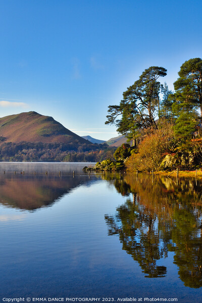 Autumn colours at Derwentwater Picture Board by EMMA DANCE PHOTOGRAPHY