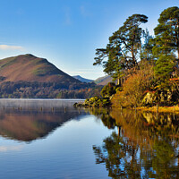 Buy canvas prints of Autumn colours at Derwentwater by EMMA DANCE PHOTOGRAPHY