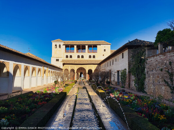 The Gardens of the Alhambra Palace, Granada, Spain Picture Board by EMMA DANCE PHOTOGRAPHY