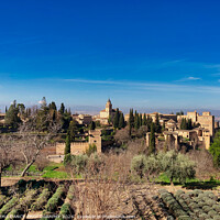 Buy canvas prints of The Gardens of the Alhambra Palace, Granada, Spain by EMMA DANCE PHOTOGRAPHY