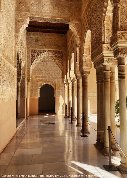 Patio of the Lions, The Nasrid Palace, Granada, Sp Picture Board by EMMA DANCE PHOTOGRAPHY