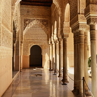 Buy canvas prints of Patio of the Lions, The Nasrid Palace, Granada, Sp by EMMA DANCE PHOTOGRAPHY