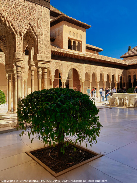 Patio of the Lions, The Nasrid Palace, Granada, Spain Picture Board by EMMA DANCE PHOTOGRAPHY