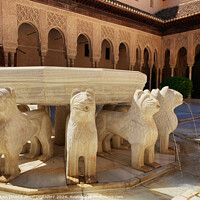 Buy canvas prints of Patio of the Lions, The Nasrid Palace, Granada, Spain by EMMA DANCE PHOTOGRAPHY