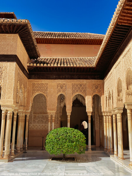 Patio of the Lions, The Nasrid Palace, Granada, Spain Picture Board by EMMA DANCE PHOTOGRAPHY