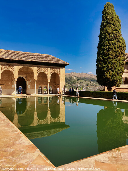 The Partal Palace, Granada, Spain Picture Board by EMMA DANCE PHOTOGRAPHY