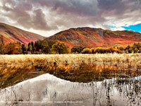 Click to show how this picture will look as a piece of wall art