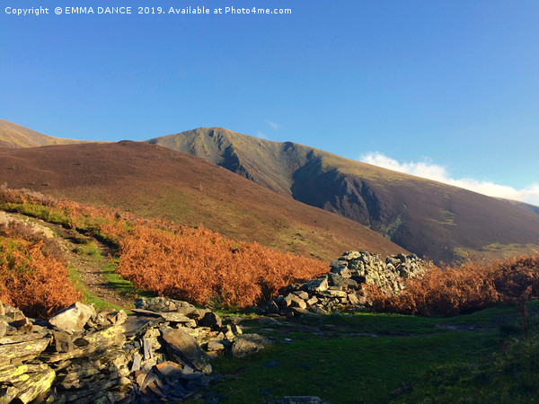 Skiddaw in the Autumn Picture Board by EMMA DANCE PHOTOGRAPHY