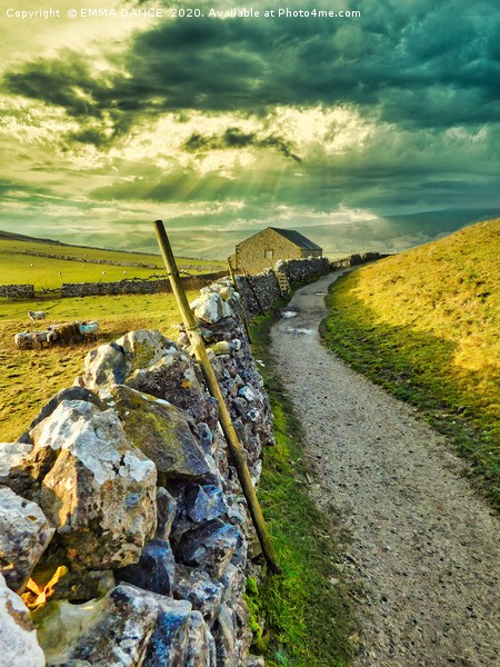 Walking in the Yorkshire Dales Picture Board by EMMA DANCE PHOTOGRAPHY