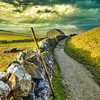 Buy canvas prints of Walking in the Yorkshire Dales by EMMA DANCE PHOTOGRAPHY