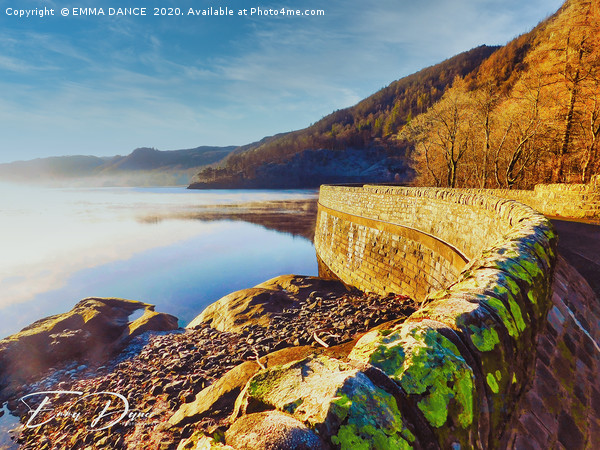  Early Morning at Thirlmere Reservoir  Picture Board by EMMA DANCE PHOTOGRAPHY