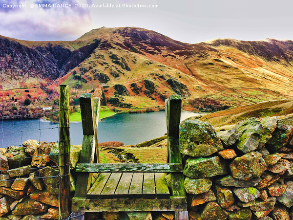 Views across Buttermere Picture Board by EMMA DANCE PHOTOGRAPHY