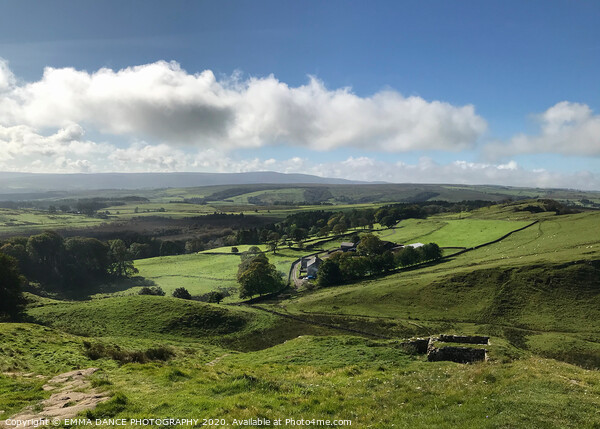 View from Hadrian's Wall, Northumberland Picture Board by EMMA DANCE PHOTOGRAPHY