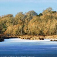 Buy canvas prints of Winter at Hagg Pond,  Wylam by EMMA DANCE PHOTOGRAPHY