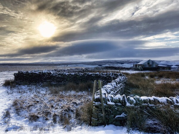 The hills above Stanhope in Weardale Picture Board by EMMA DANCE PHOTOGRAPHY