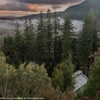 Buy canvas prints of Benmore In The Mist by Ronnie Reffin