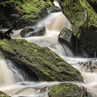 Buy canvas prints of Rocky Rapids by Ronnie Reffin
