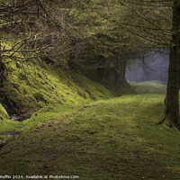 Buy canvas prints of Misty Corner by Ronnie Reffin