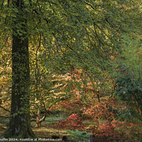 Buy canvas prints of Autumn Colours by Ronnie Reffin