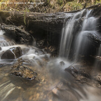 Buy canvas prints of Water Over Log by Ronnie Reffin