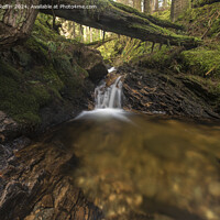Buy canvas prints of Water Under Log by Ronnie Reffin