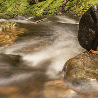 Buy canvas prints of Standing Stone by Ronnie Reffin