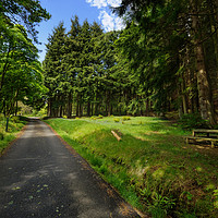 Buy canvas prints of Entrance To Kilmun Arboretum by Ronnie Reffin