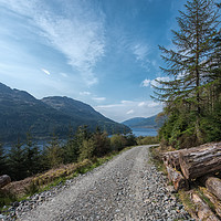 Buy canvas prints of Forest Path Above Whistlefield Inn by Ronnie Reffin