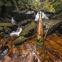 Buy canvas prints of The Log In The Waterfall by Ronnie Reffin