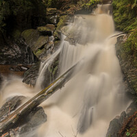Buy canvas prints of Log In Waterfall by Ronnie Reffin