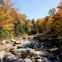 Buy canvas prints of Vermont Autumn Beauty by Jan Gregory