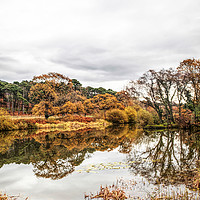 Buy canvas prints of Autumnal Reflections by Jan Gregory