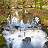 Buy canvas prints of Roath Park by Jan Gregory