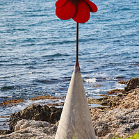 Buy canvas prints of Poppy by the Sea by Jan Gregory