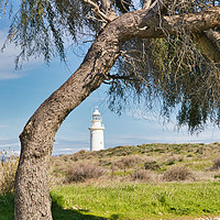 Buy canvas prints of Paphos Lighthouse by Jan Gregory