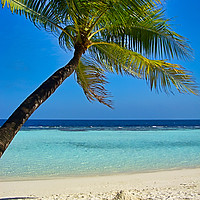 Buy canvas prints of Maldives Paradise by Jan Gregory