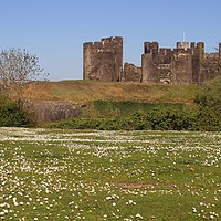 Buy canvas prints of Caerphilly Castle in the Spring by Ellen Morris
