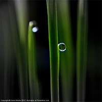 Buy canvas prints of Reflections in a Dewdrop by Karen Martin