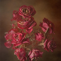 Buy canvas prints of Old Roses by Karen Martin