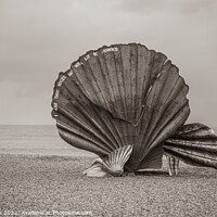 Buy canvas prints of Scallop sculpture on a beach by Lewis Wiffen