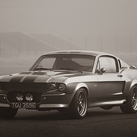 Buy canvas prints of Majestic Mustang by Lewis Wiffen