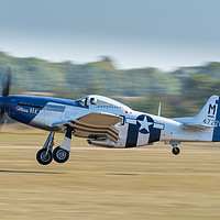 Buy canvas prints of Mustang landing by Lewis Wiffen