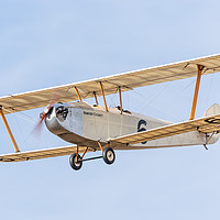 Buy canvas prints of Hawker Cygnet. by Lewis Wiffen