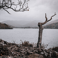 Buy canvas prints of Moody Windermere by Lewis Wiffen