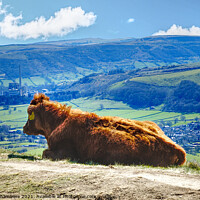 Buy canvas prints of Moo With A View by Alison Chambers