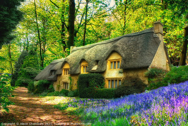 Thatched Bluebell Cottage Framed Mounted Print by Alison Chambers