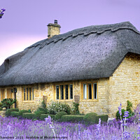 Buy canvas prints of Lavender Cottage by Alison Chambers
